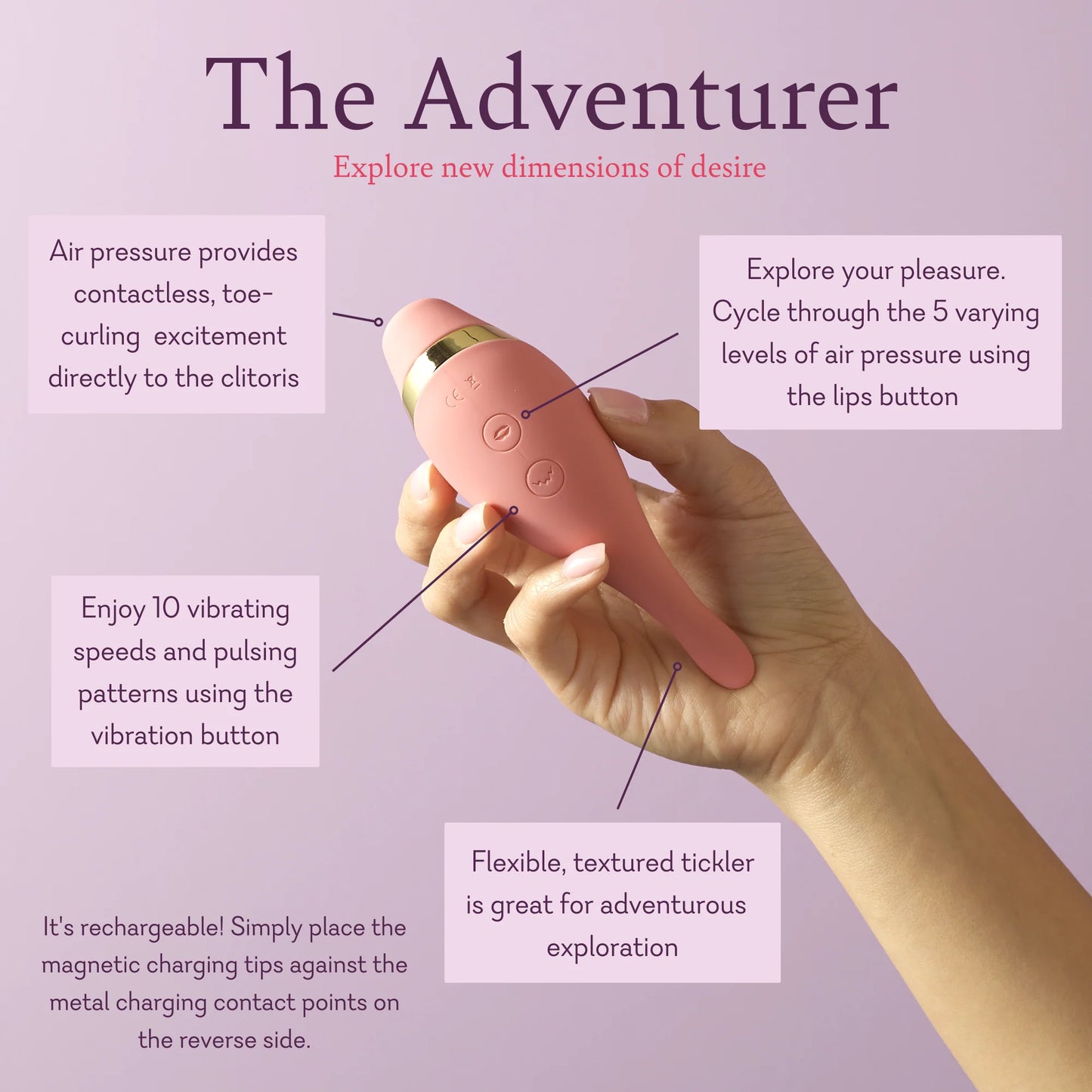 The Adventurer Combo