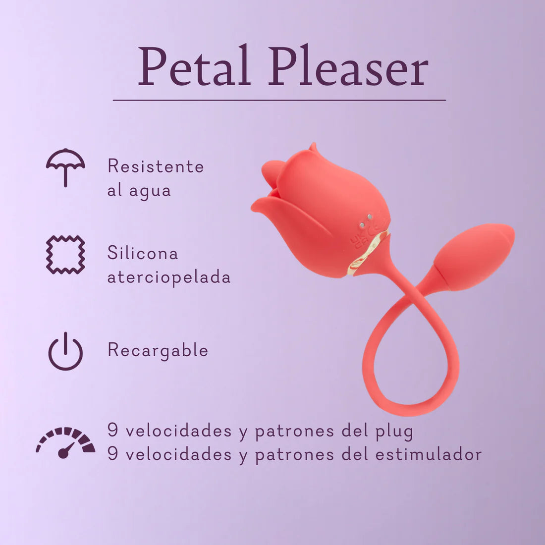 Petal Pleaser Combo